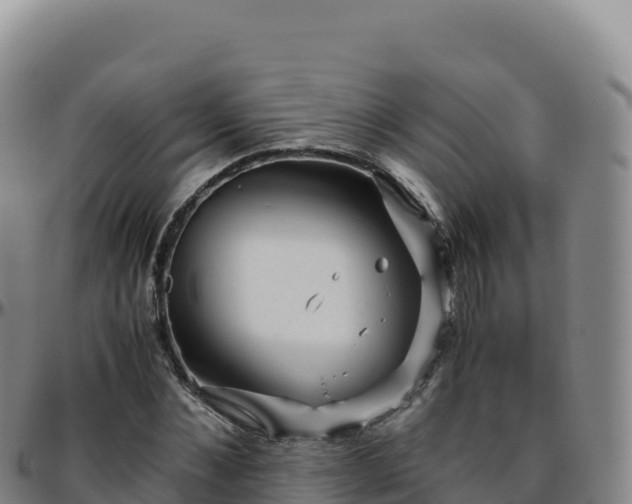 X0000096480876200801311554