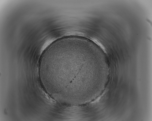 X0000096480877200801311554