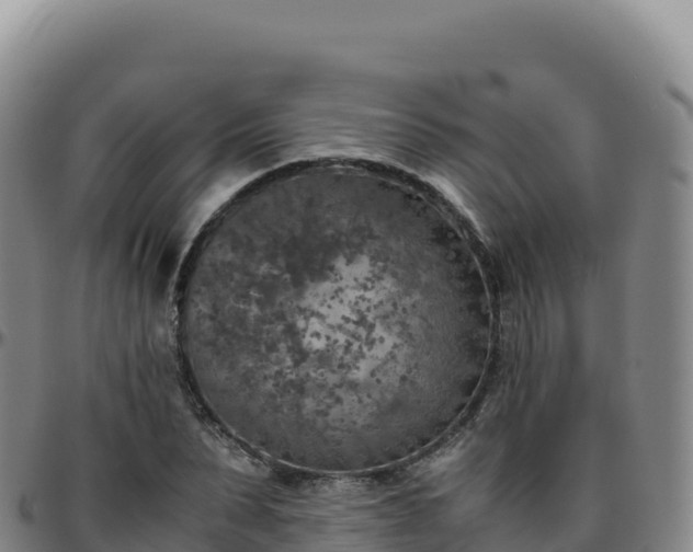 X0000096480879200801311554