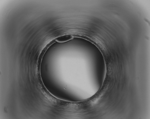 X0000096480880200801311554