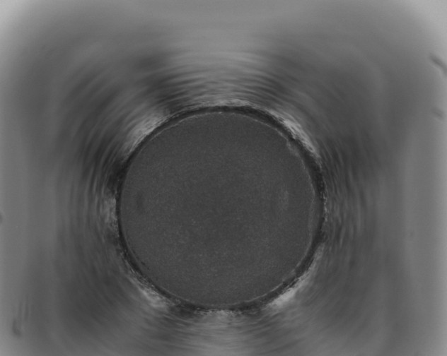 X0000096480881200801311554