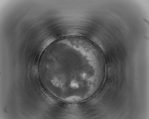 X0000096480882200801311554