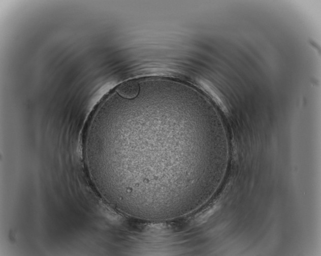 X0000096480883200801311554