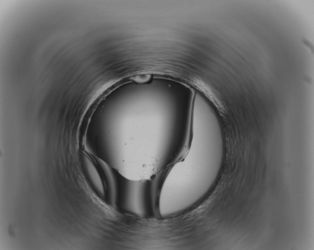 X0000096480884200801311554