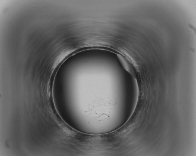 X0000096480885200801311554