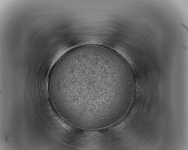 X0000096480886200801311554