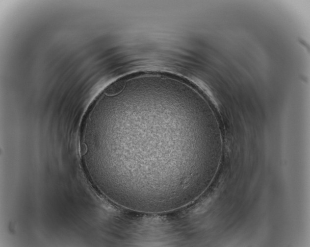 X0000096480887200801311554