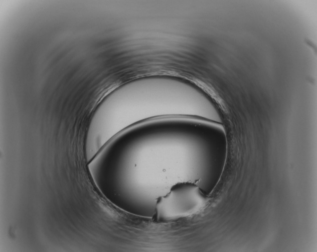 X0000096480889200801311553