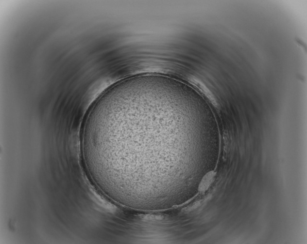 X0000096480890200801311553