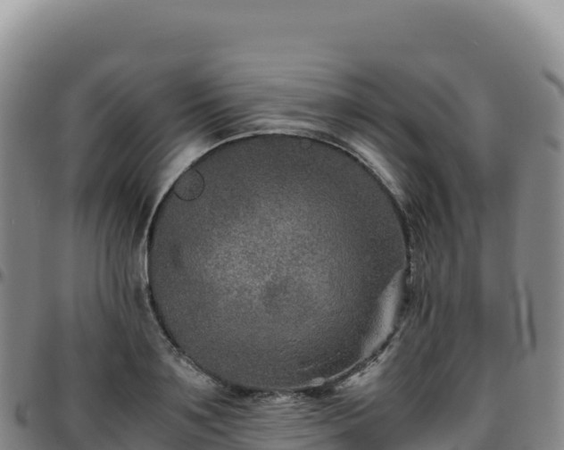 X0000096480891200801311553