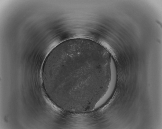 X0000096480892200801311553