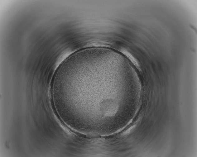 X0000096480893200801311553