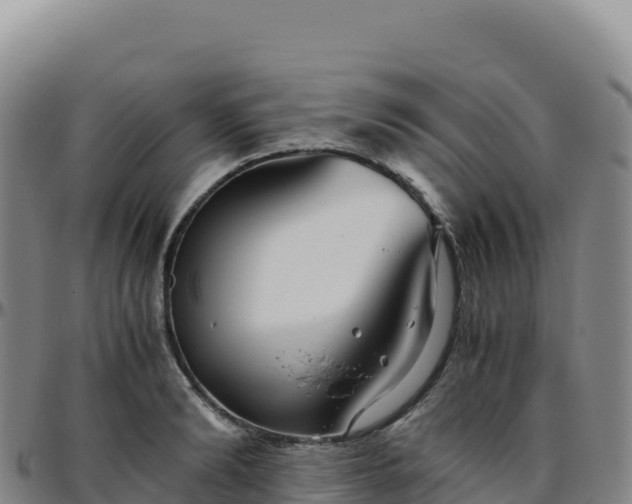 X0000096480894200801311553