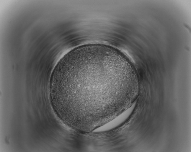 X0000096480895200801311553