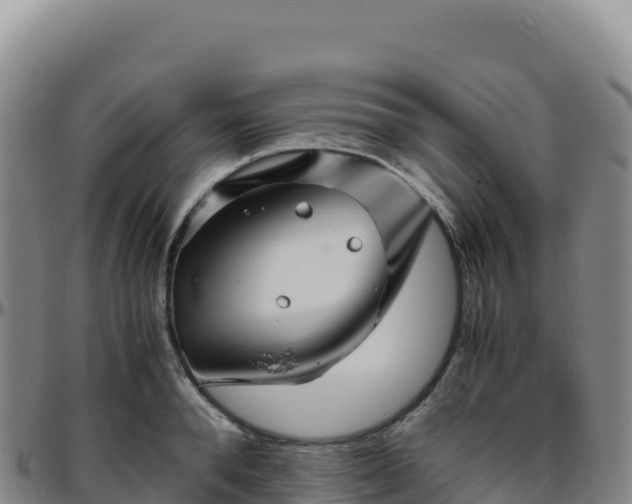 X0000096480896200801311553