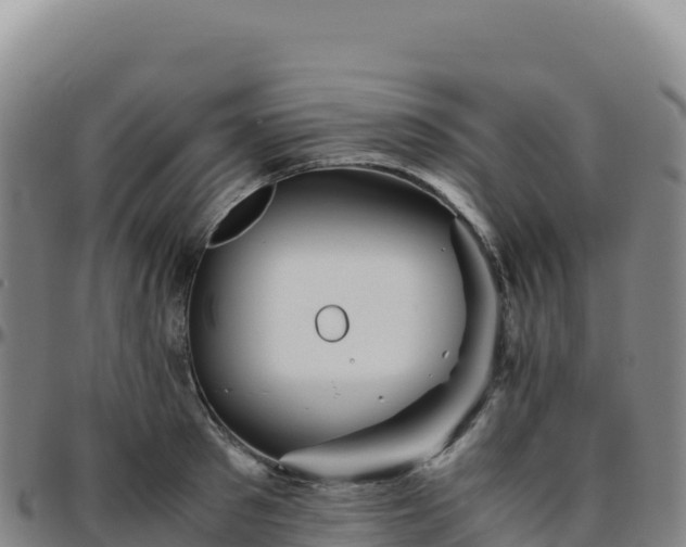 X0000096480897200801311553