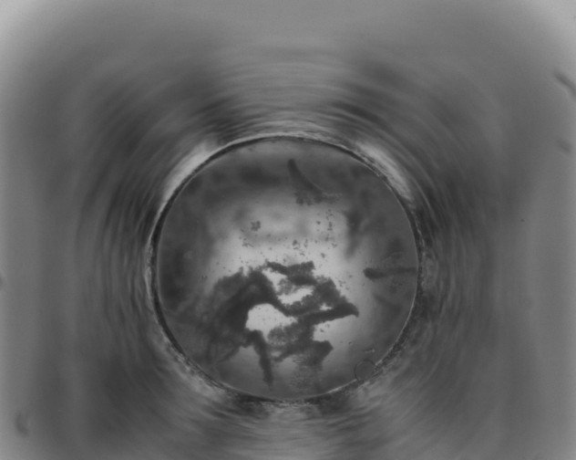 X0000096480899200801311553