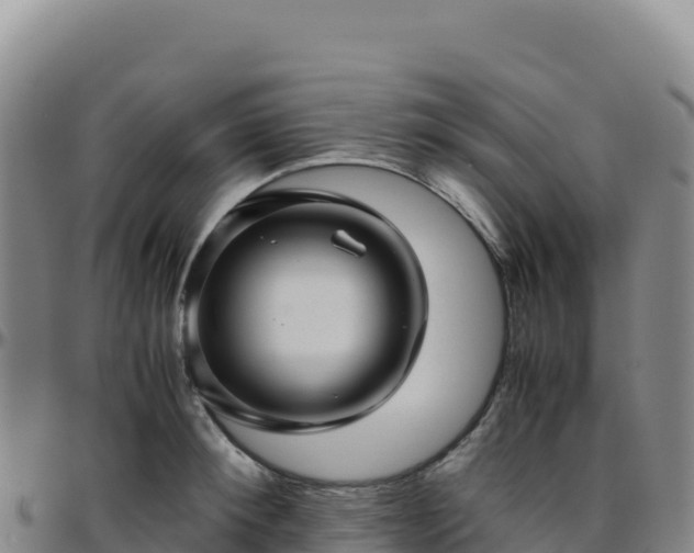 X0000096480900200801311553