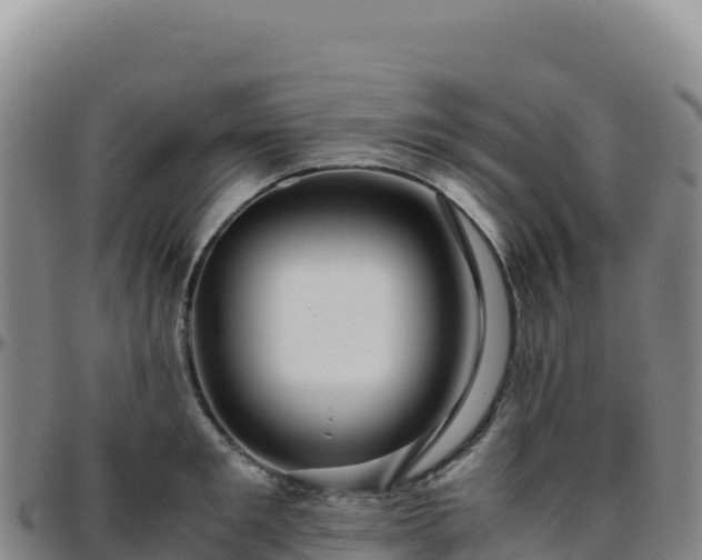 X0000096480901200801311553