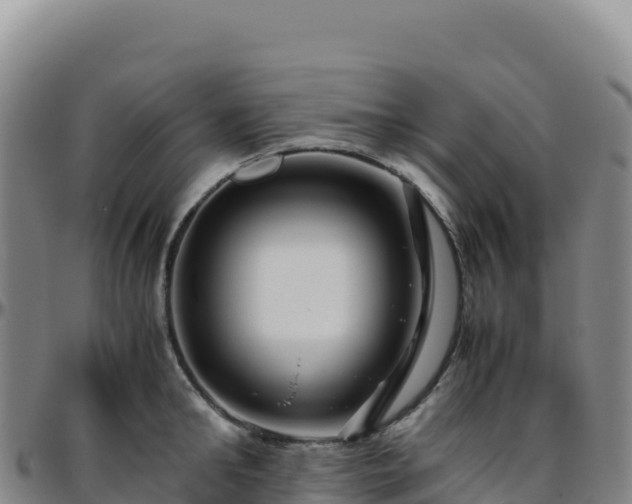 X0000096480902200801311553