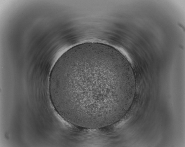 X0000096480903200801311553