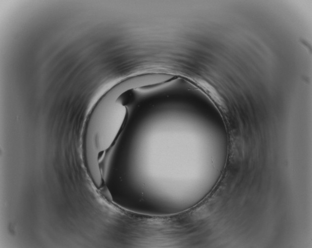 X0000096480904200801311553