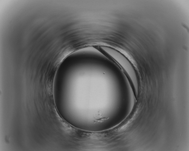 X0000096480905200801311553