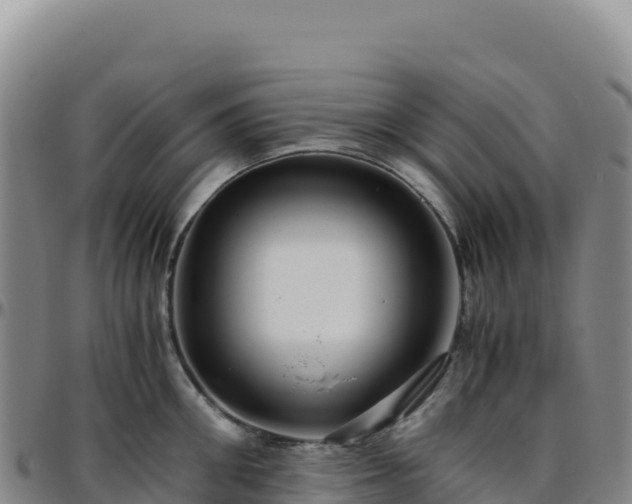 X0000096480906200801311553