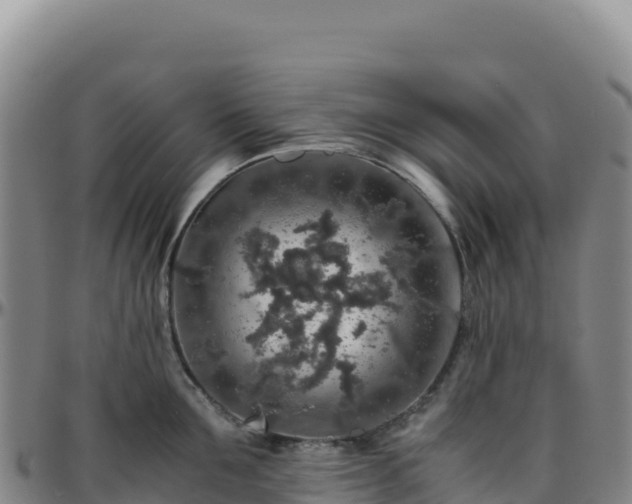 X0000096480907200801311553