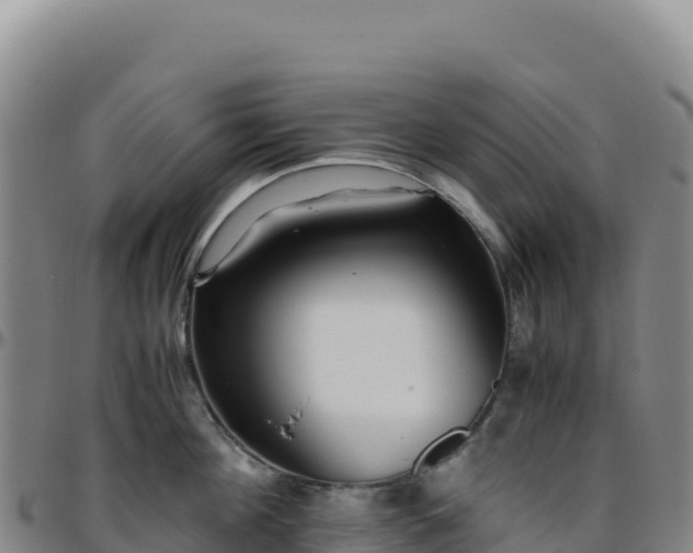 X0000096480908200801311553