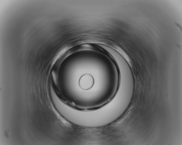 X0000096480909200801311553