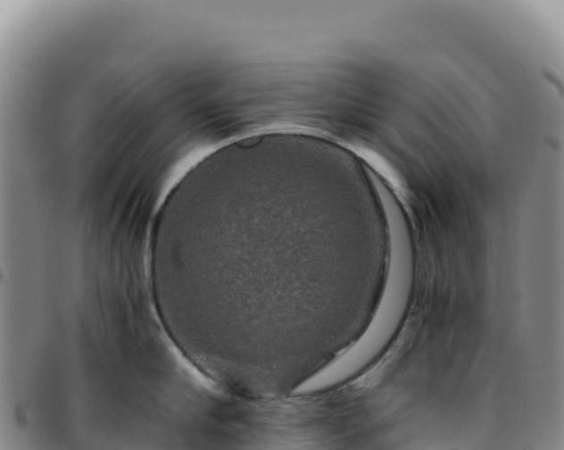 X0000096480910200801311553