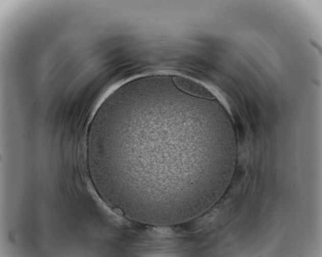 X0000096480911200801311553