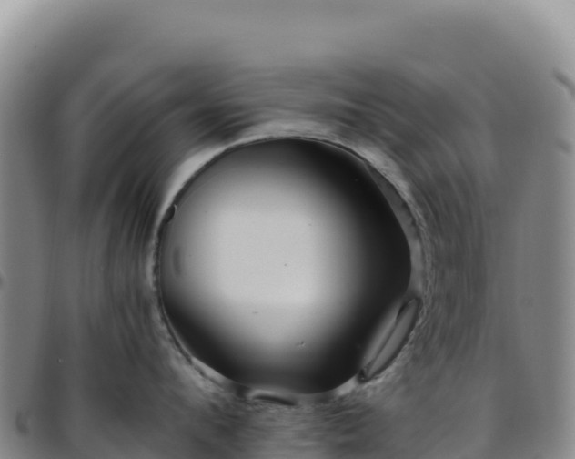 X0000096480912200801311553