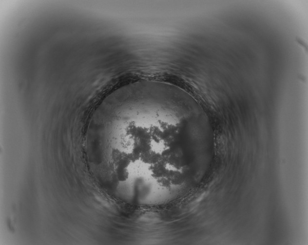 X0000096480913200801311553