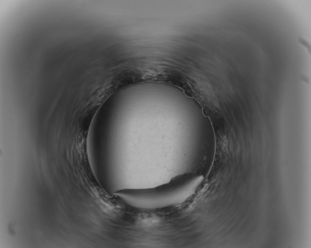 X0000096480914200801311553