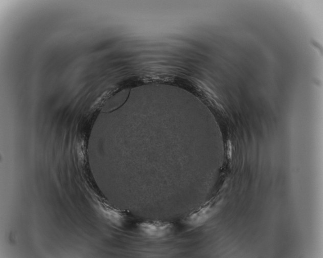 X0000096480915200801311553