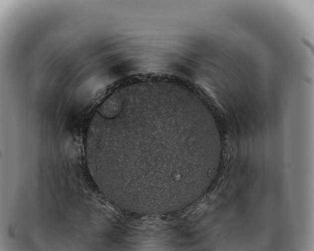 X0000096480918200801311553