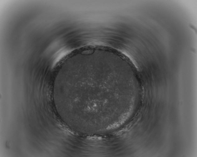 X0000096480919200801311553