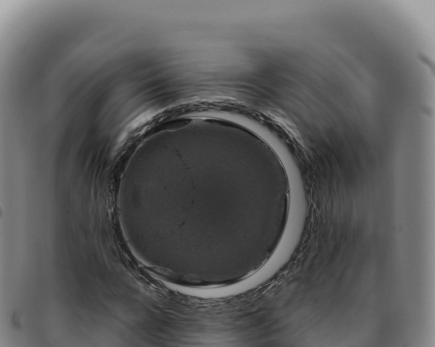 X0000096480920200801311553