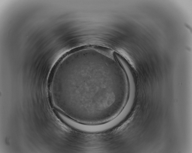 X0000096480924200801311553