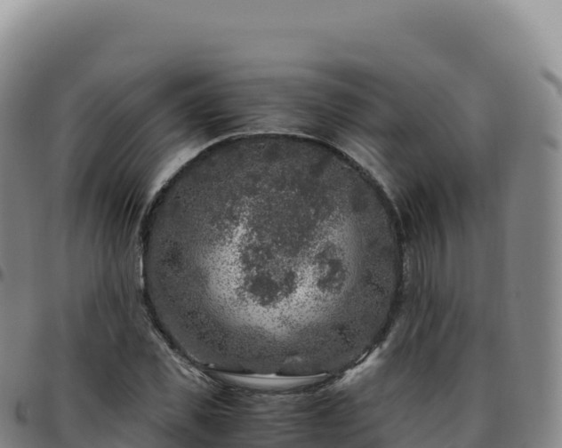 X0000096480925200801311553