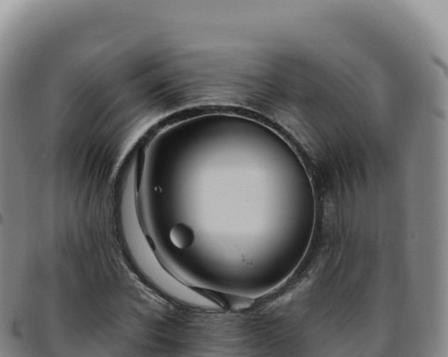 X0000096480926200801311553