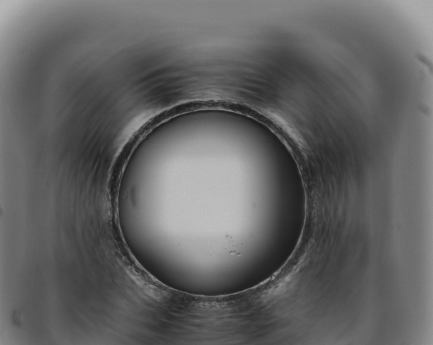 X0000096480927200801311553