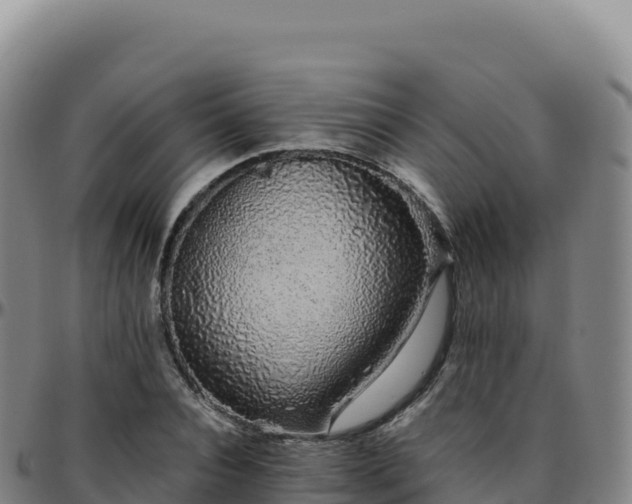 X0000096480928200801311553