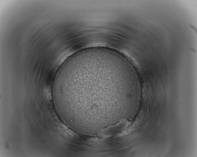 X0000096480929200801311553