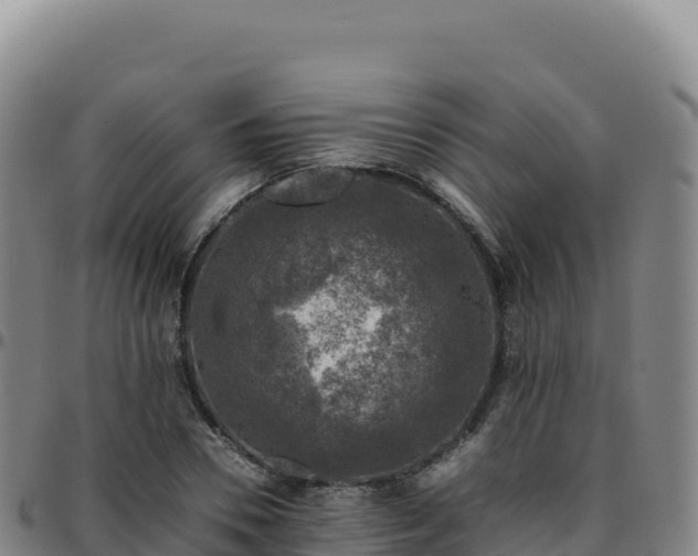 X0000096480930200801311553