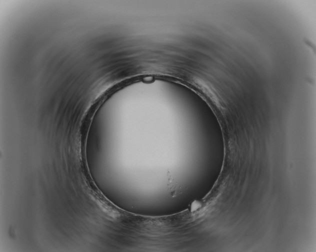 X0000096480931200801311553