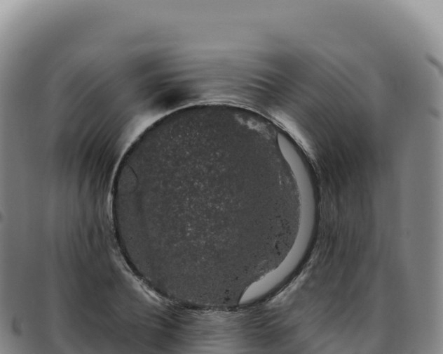 X0000096480932200801311553