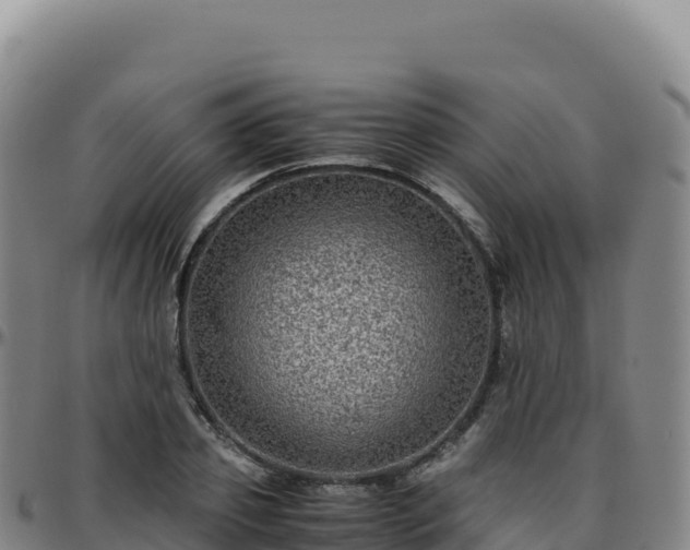 X0000096480933200801311553